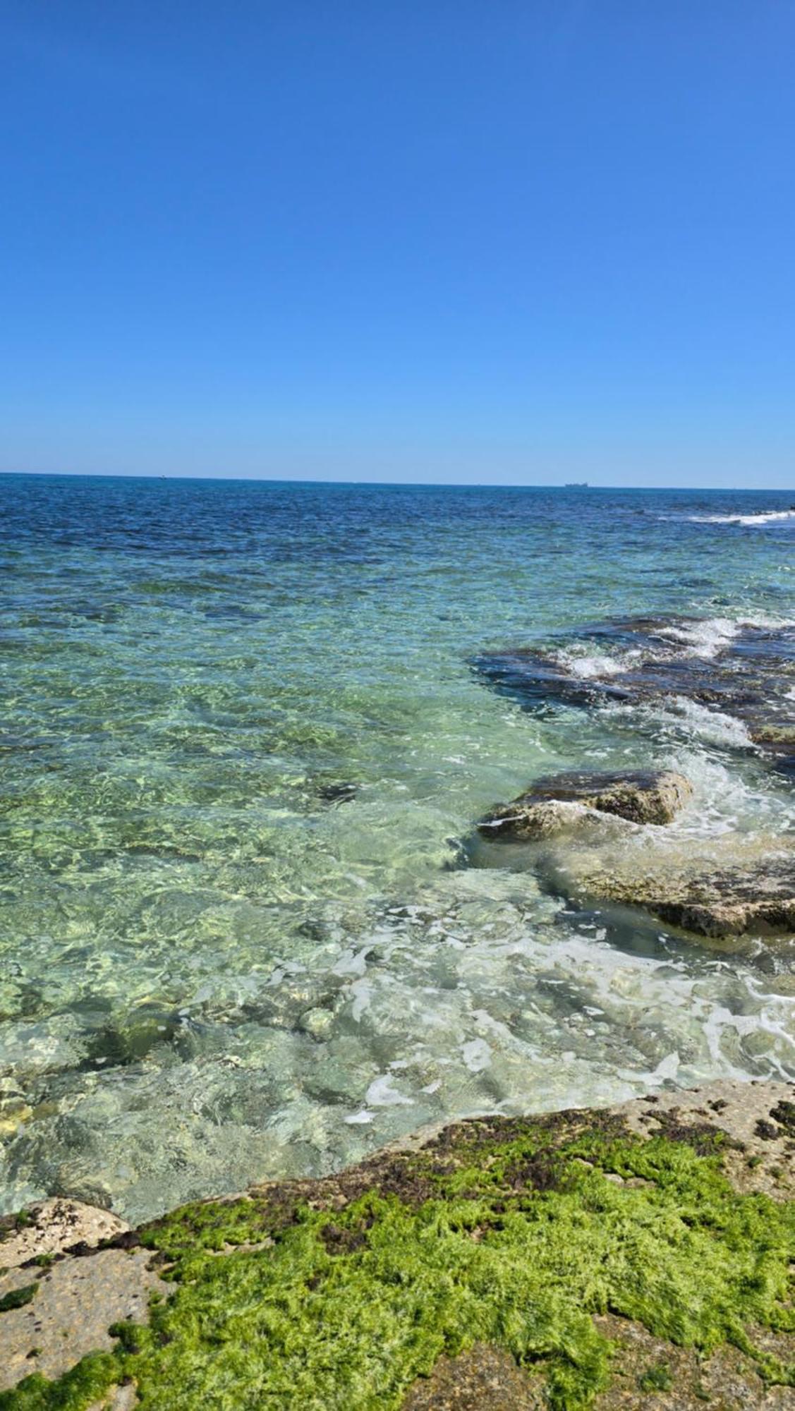 Bed and Breakfast Kale Giovinazzo Exterior foto