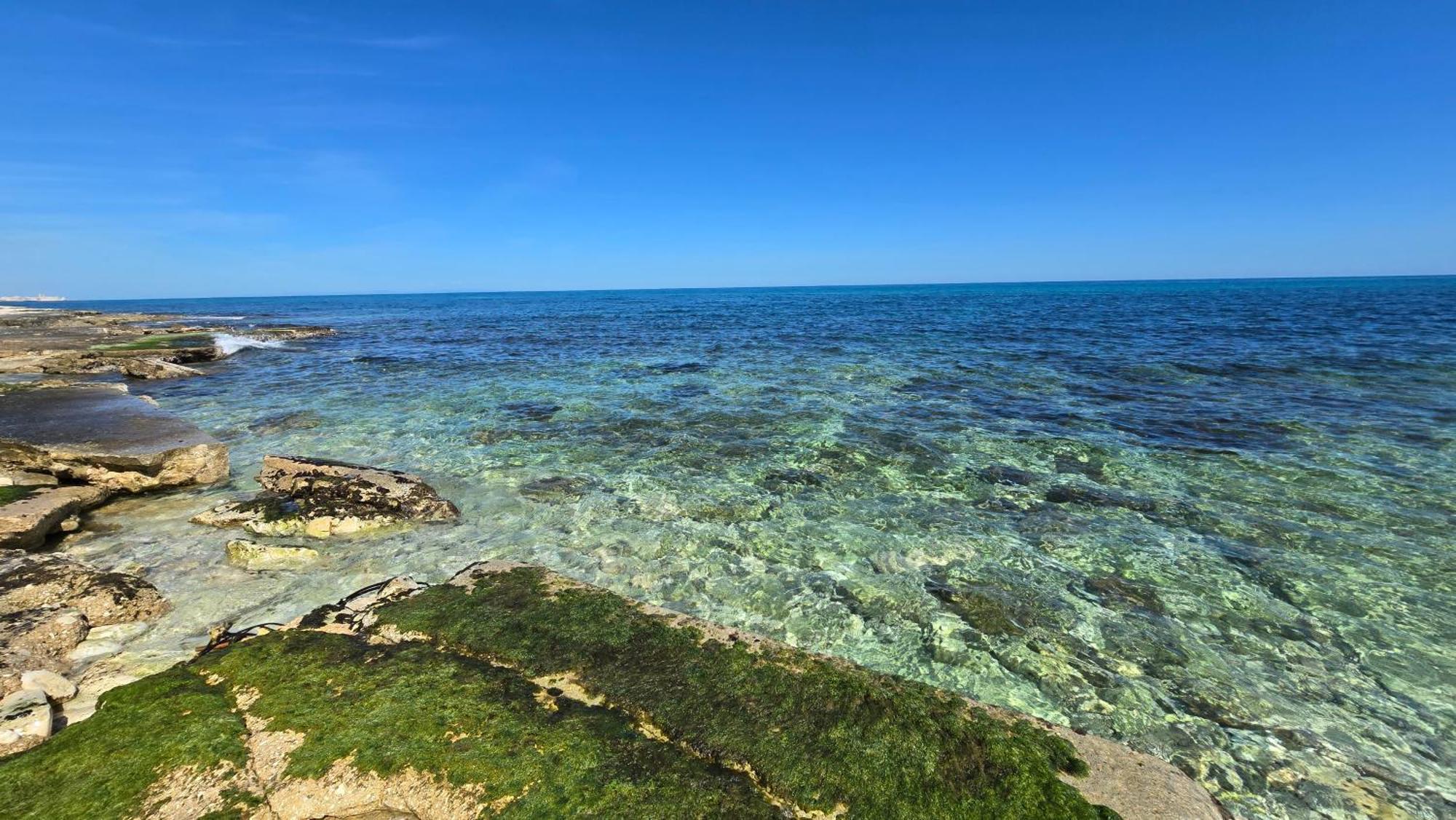 Bed and Breakfast Kale Giovinazzo Exterior foto